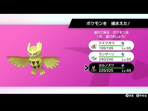 色違いヨルノズク