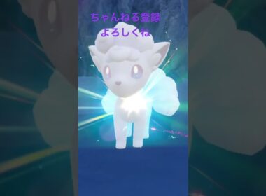 色違いアローラロコン進化！