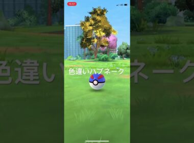 ポケモンGO 色違いハブネーク出現！　 #pokémon