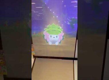 BT2弾！シェイミ捕まえたよ【ポケモンフレンダ】