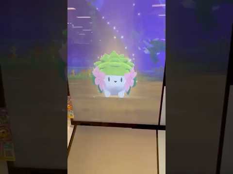 BT2弾！シェイミ捕まえたよ【ポケモンフレンダ】