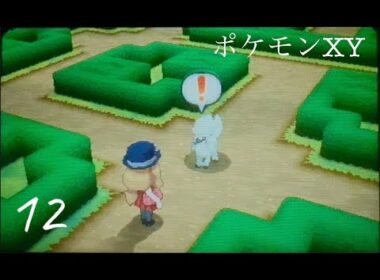 12【ポケモンXY】パルファム宮殿でトリミアンを追いかける