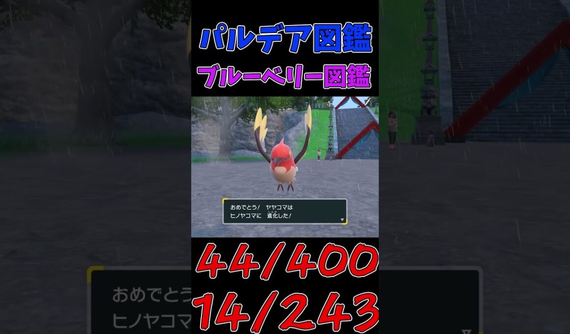 色違いパルデア図鑑制作✨#37【ヤヤコマ】【ヒノヤコマ】【ファイアロー】　#ポケモンsv #pokemonscarletandviolet  #shorts #shiny #shinypokemon