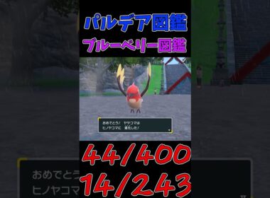 色違いパルデア図鑑制作✨#37【ヤヤコマ】【ヒノヤコマ】【ファイアロー】　#ポケモンsv #pokemonscarletandviolet  #shorts #shiny #shinypokemon
