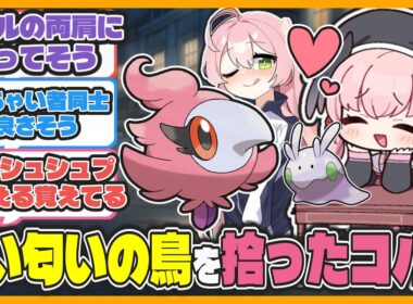 【クロス】ここだけヌメラに続きシュシュプを拾ってきたコハル【ブルアカ反応まとめ】