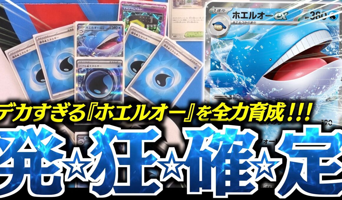 デカい！！そしてデカい！！あるカードで『ホエルオーex』が”無敵”になります！！！【vsNのゾロアーク】