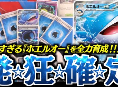 デカい！！そしてデカい！！あるカードで『ホエルオーex』が”無敵”になります！！！【vsNのゾロアーク】