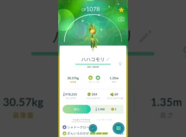 色違い　クルミルからハハコモリに進化　ポケモンGO