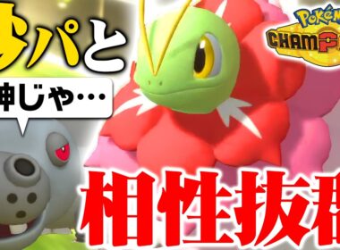【相性補完が完璧】メガメガニウム、砂パの弱点を消し去る“神性能”でしたｗｗｗ【ポケモンチャンピオンズ】