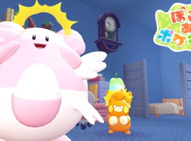 【ぽこあポケモン】パモとハピナス内科クリニック（診療所）つくるぞ！
