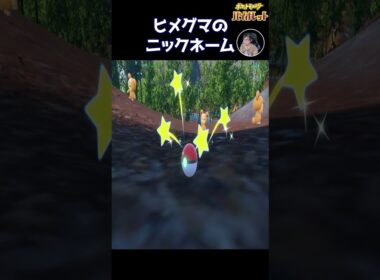 ヒメグマの手って甘いんだね。ポケモンバイオレット #Shorts