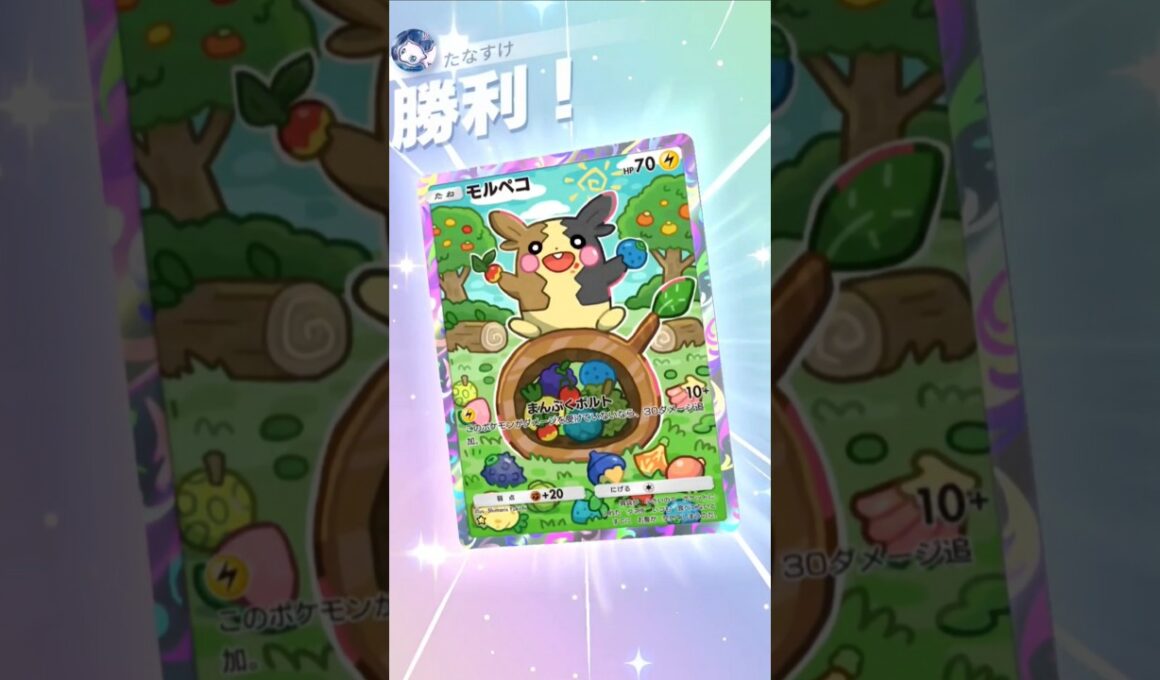 大好きなモルペコ、やっと活躍してくれた【ポケポケ】【PokémonTcgPocket】
