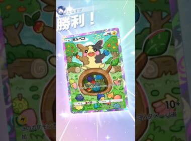 大好きなモルペコ、やっと活躍してくれた【ポケポケ】【PokémonTcgPocket】