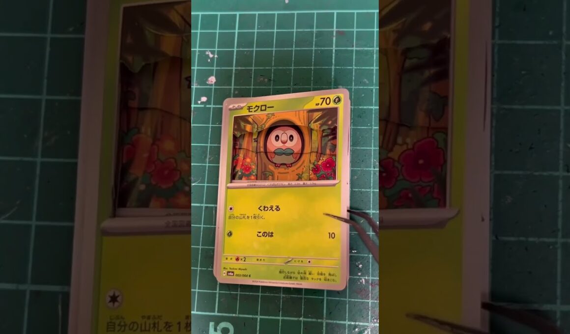 【ポケカ】モクロー立体化させてみた！ショートバージョン#shadowbox #pokemon #ポケモン #ポケカ #pokemoncard #シャドーボックス