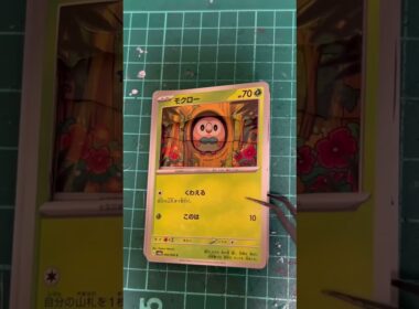 【ポケカ】モクロー立体化させてみた！ショートバージョン#shadowbox #pokemon #ポケモン #ポケカ #pokemoncard #シャドーボックス
