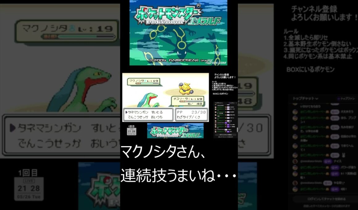 マクノシタさん、連続技うまいね・・・【ポケットモンスターエメラルド】#Shorts #ポケモン #ゲーム実況 #pokemon #実況