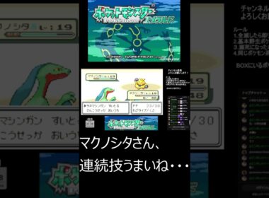 マクノシタさん、連続技うまいね・・・【ポケットモンスターエメラルド】#Shorts #ポケモン #ゲーム実況 #pokemon #実況