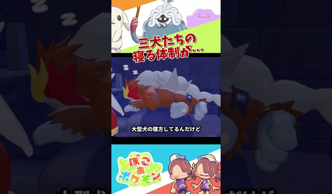 【ぽこポケ】エンテイ・スイクン・ライコウ三犬三様の犬すぎる寝方 #ぽこあポケモン