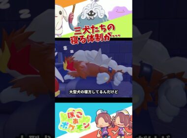 【ぽこポケ】エンテイ・スイクン・ライコウ三犬三様の犬すぎる寝方 #ぽこあポケモン