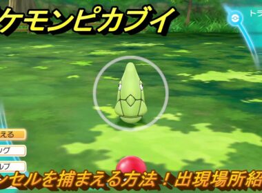 ポケモンピカブイ　トランセルを捕まえる方法！出現場所紹介！図鑑コンプへの道！　【ポケットモンスター Let's Go! ピカチュウ・イーブイ】