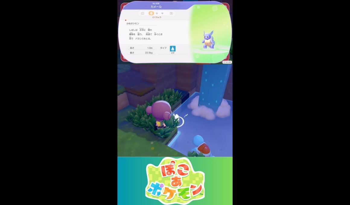 【ぽこあポケモン】カメール