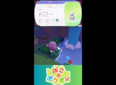 【ぽこあポケモン】カメール