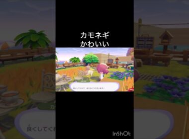 カモネギありがとう　ぽこあポケモン　#vlog #ポケモン #こはくちゃんねる2424 #毎日更新　#pokemon #pokopia #ぽこあポケモン ソロぼっち女子  5月
