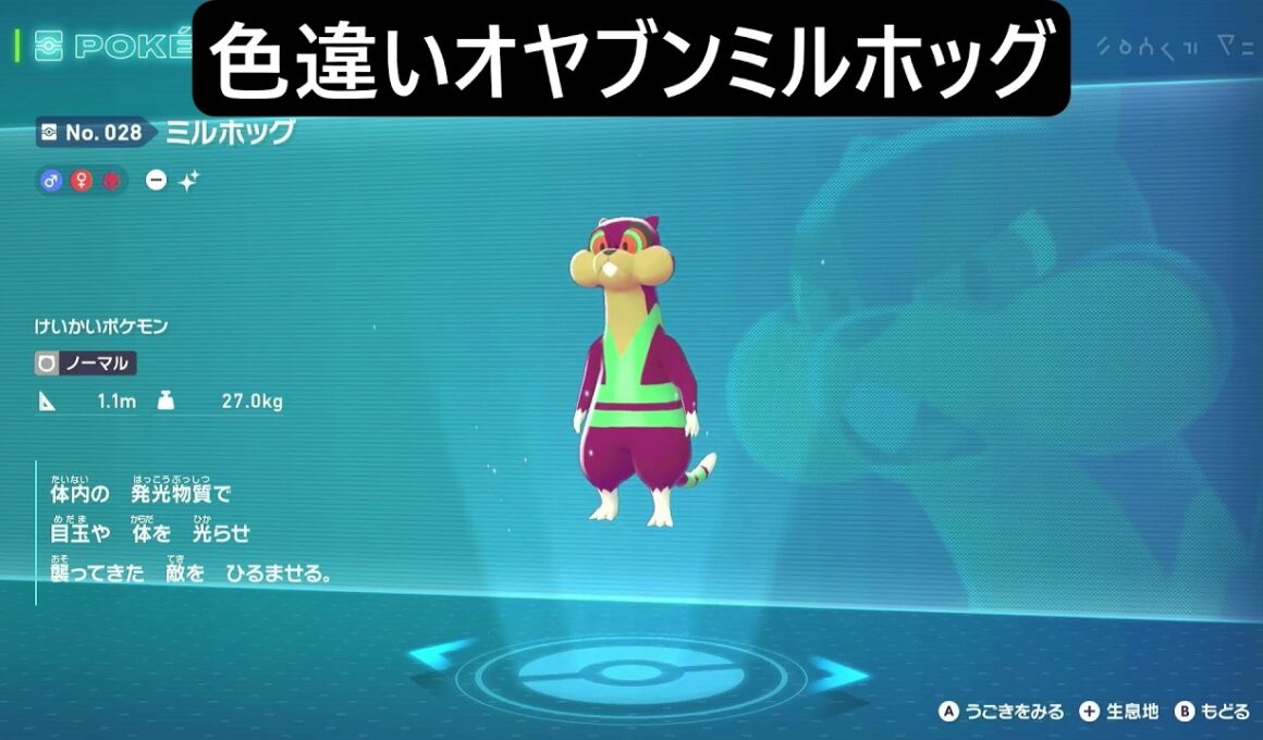 色違いオヤブンミネズミ・ミルホッグ ポケモンレジェンズZA M次元ラッシュ Pokémon LEGENDS Z-A Mega Dimension #ポケモン
