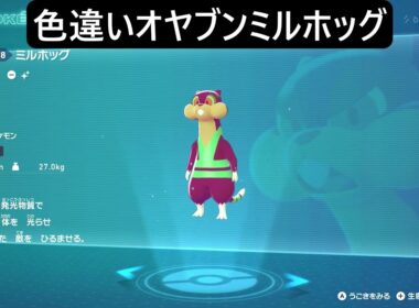 色違いオヤブンミネズミ・ミルホッグ ポケモンレジェンズZA M次元ラッシュ Pokémon LEGENDS Z-A Mega Dimension #ポケモン