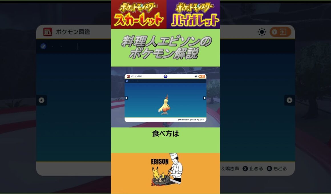エビソンのポケモン解説　#ポケモン #ポケモンsv #スカーレットバイオレット #ワカシャモ