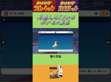 エビソンのポケモン解説　#ポケモン #ポケモンsv #スカーレットバイオレット #ワカシャモ