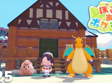 メタモンにはあるんですよ、住所が【ぽこ あ ポケモン】＃２５