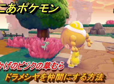 ぽこあポケモン　ドラメシヤを仲間にする方法　木かげのピンクの草むら　＃１６０　【ぽこポケ】