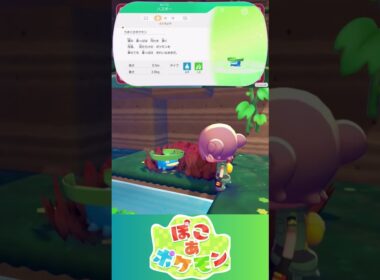 【ぽこあポケモン】ハスボー