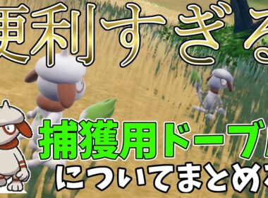 【便利すぎる】捕獲用ドーブルについて整理する #ポケモンSV #藍の円盤