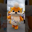 【GOフェス】ガーディのお散歩 #ポケモン #pokemon  #shorts