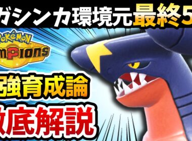 【相性最強‼】”ガブリアス×●●”の相性がヤバすぎるwww【ガブリアス最強育成論】【ポケモンチャンピオンズ】