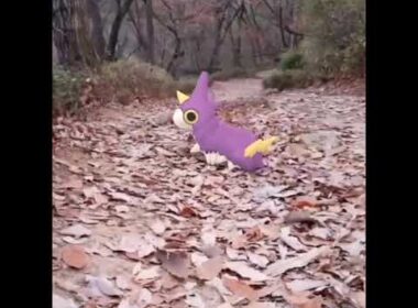 개무소 ( Wurmple ) ケムッソ ( 刺尾蟲 )