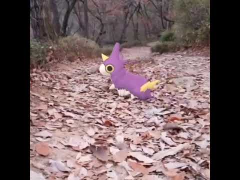 개무소 ( Wurmple ) ケムッソ ( 刺尾蟲 )