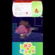 【ぽこあポケモン】ブーバー