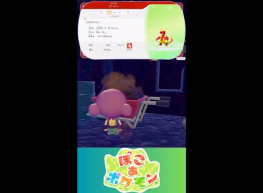 【ぽこあポケモン】ブーバー