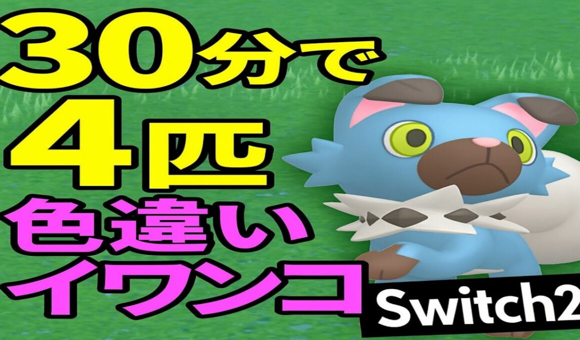 【ポケモンSV】30分で4匹! イワンコ色違いが湧きすぎて草www