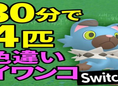 【ポケモンSV】30分で4匹! イワンコ色違いが湧きすぎて草www
