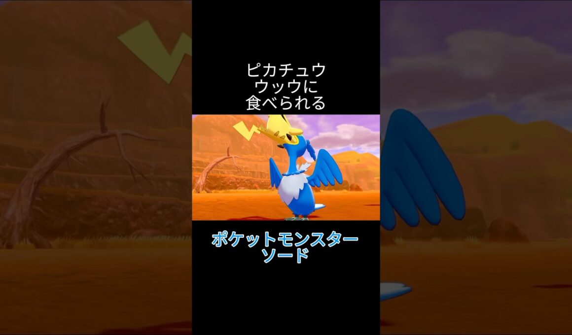 ピカチュウ、ウッウに食べられる #ポケットモンスター剣盾 #ポケモン剣盾 #ポケモン実況
