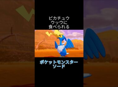 ピカチュウ、ウッウに食べられる #ポケットモンスター剣盾 #ポケモン剣盾 #ポケモン実況