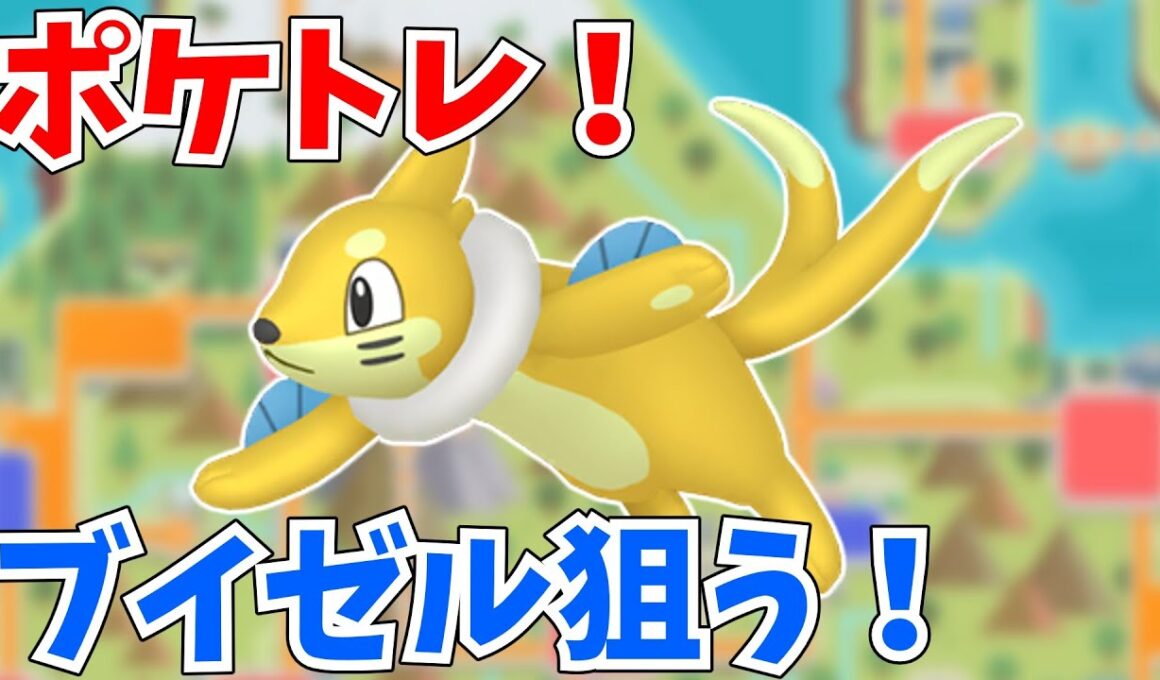 【朝活】初見さんにも挨拶したい！ポケトレでブイゼルの色違いを粘るよ！（ポケモン色違い）#ポケモンbdsp #ポケモンsv #ポケモン #ゲーム実況 #shorts