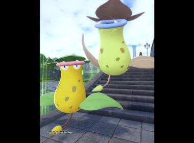 マダツボミ達の色違い比較✨Bellsprout family shiny #ポケモンza #pokemonlegendsza #pokemon
