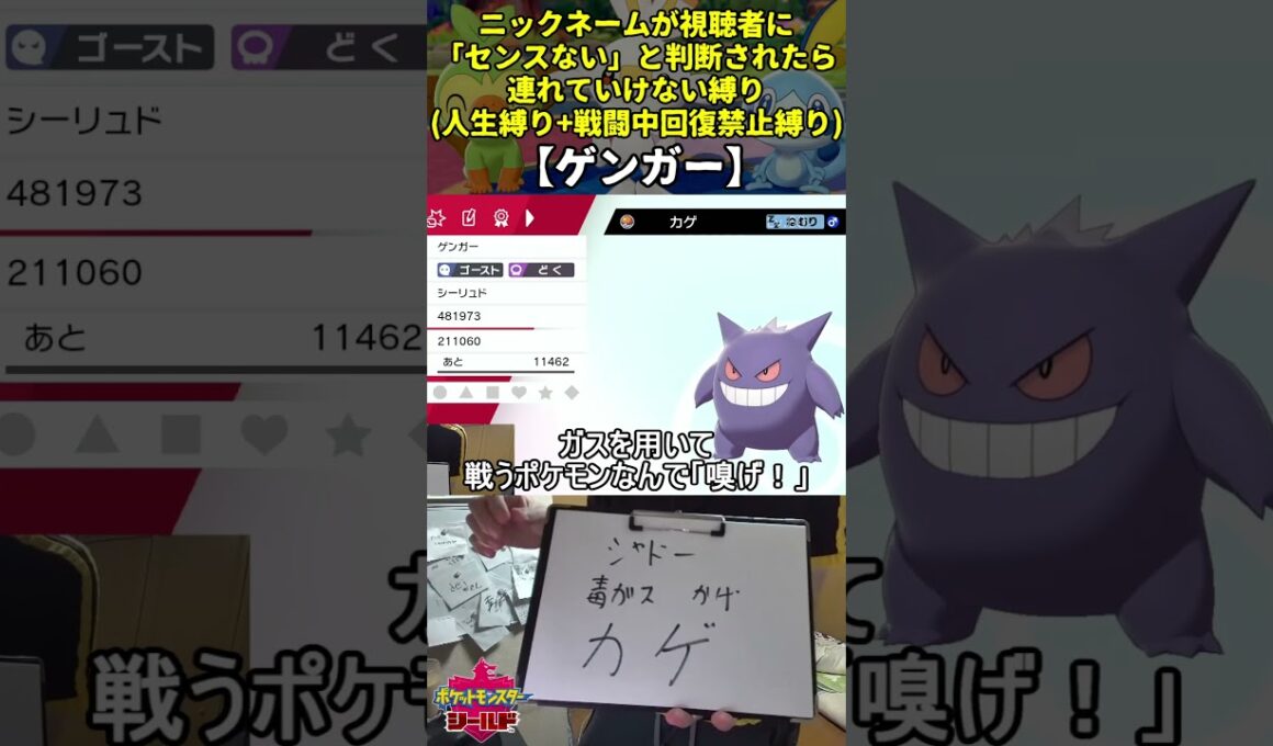 【ポケモン剣盾】ハイセンスニックネーム人生縛り命名集(ゲンガー)【Twitch配信】