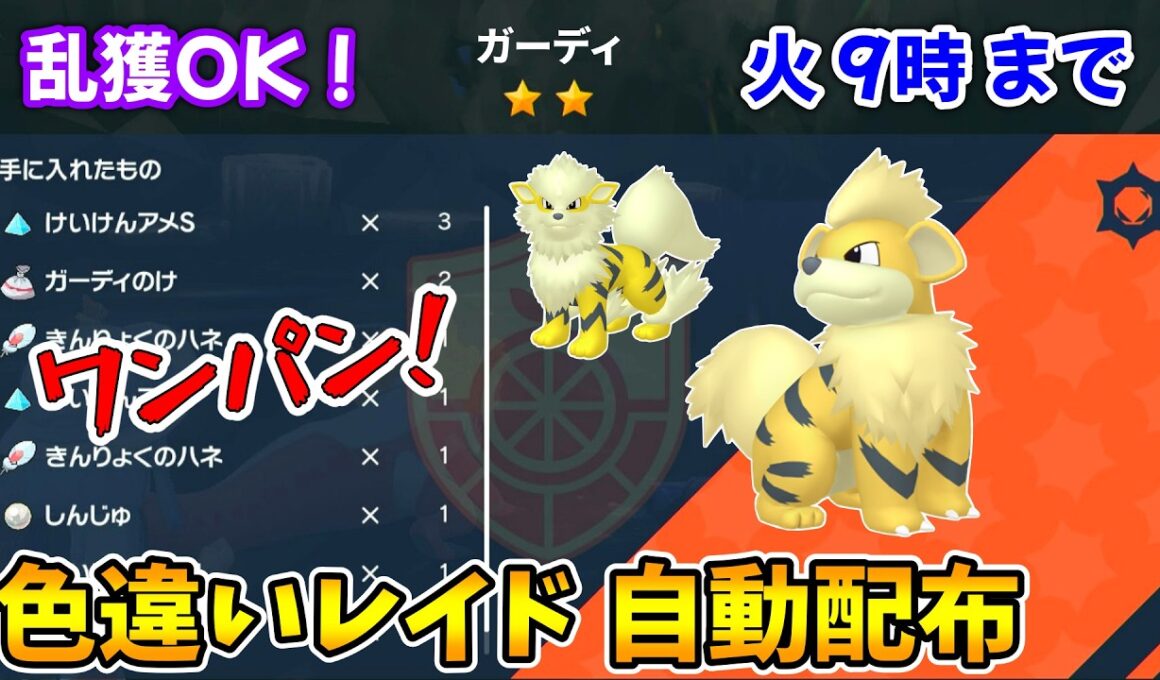 乱獲OK！ガーディ色違いレイド自動配布会！【ポケモンSV】
