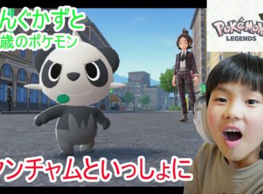 ポケットモンスターZAレジェンズ ９歳ヤンチャムと一緒に戦う　ミレアシティのその後 運び屋ヤンチャム　８歳のポケットモンスターZ-A　スイッチ２　 ⁨@kingkazuto⁩